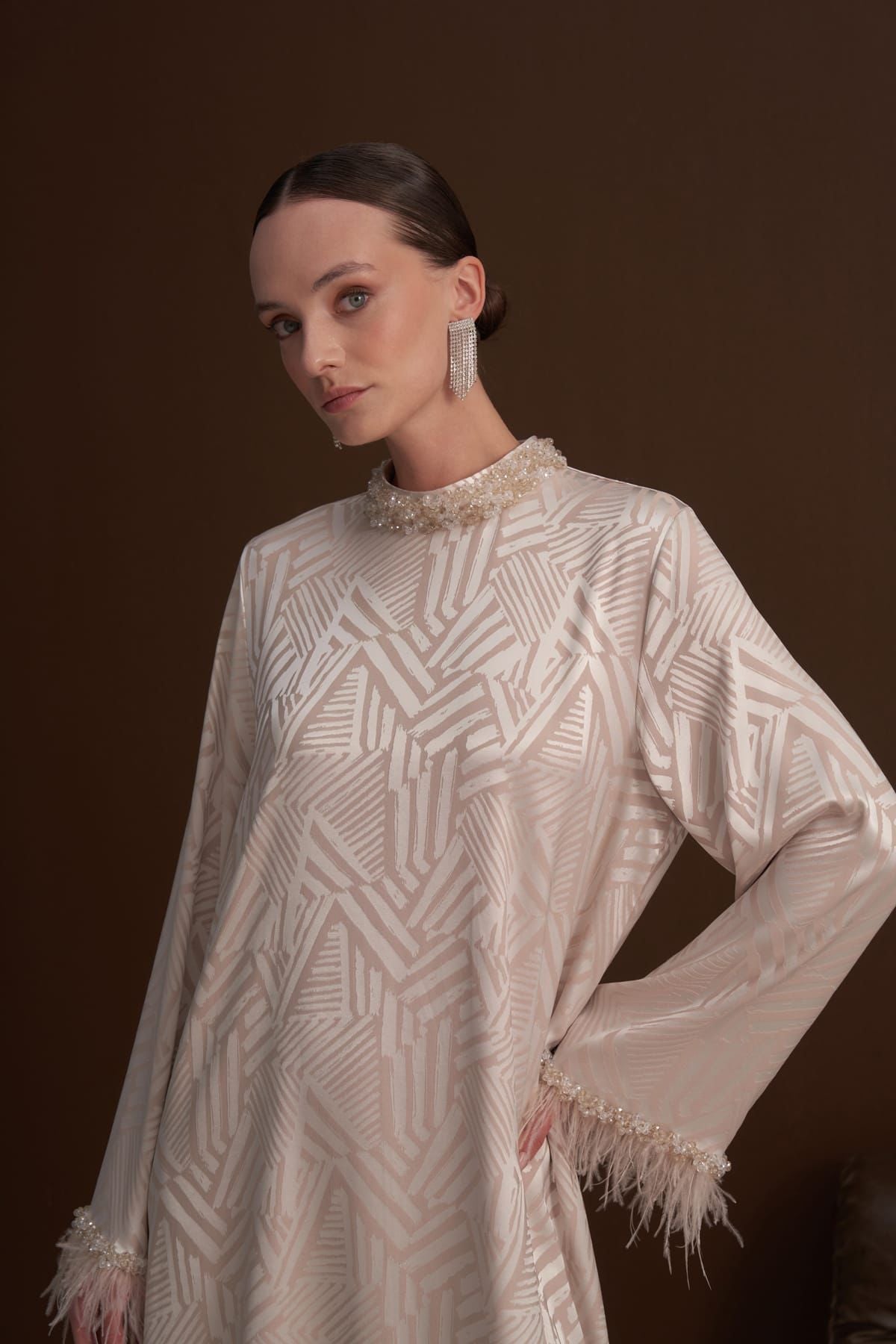 Taş ve Tüy Detaylı Elbise